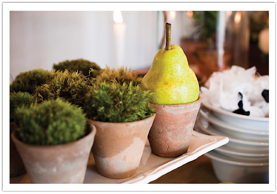 Modern Rustic Terracotta herb pots