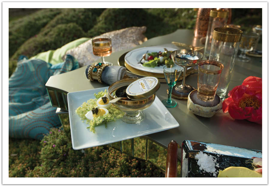 Luxury Picnic Alchemy Fine Events Riviera Magazine (9)